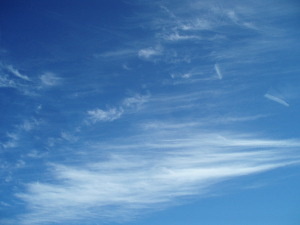 Les cirrus ont souvent un aspect fibreux ou filamenteux.