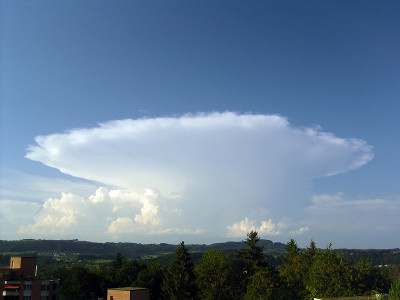 Een cumulonimbus capillatus kan een aambeeld (incus) krijgen zodat het geheel op een paddestoel geli