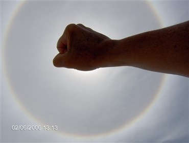 halo_engelsmoureau_madeira_3.jpg