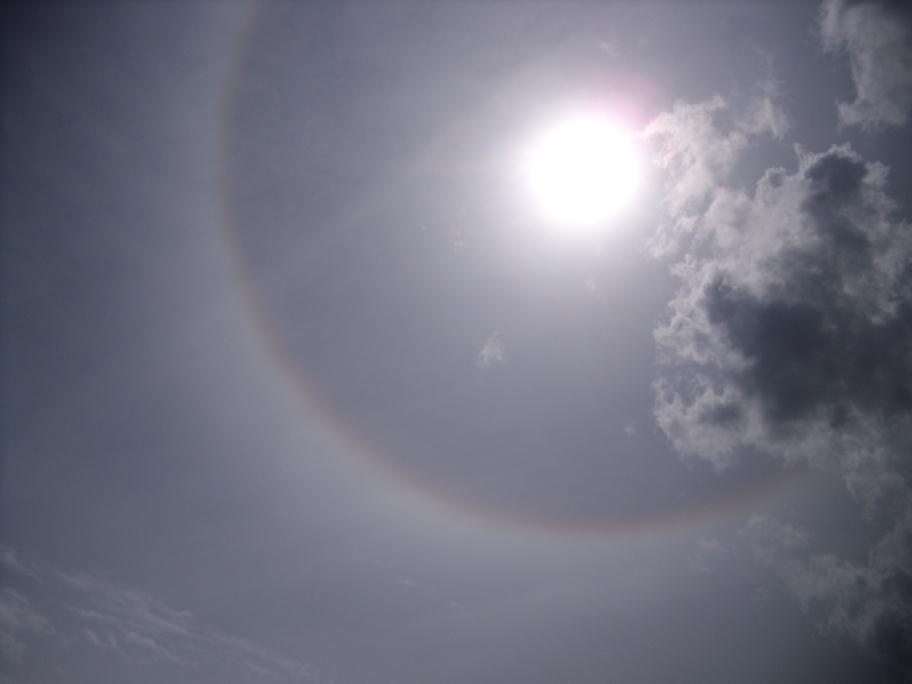 zon_001__912_x_684_a.jpg