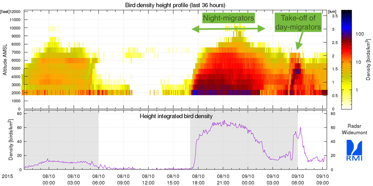 Figure 1 : La densité d’oiseaux (au-dessous) et le nombre total d’oiseaux (en dessous), mesurés par le radar de Wideumont, pendant la période du 07/10/2015 de 23 h temps local, au 09/10/2015, 11h30 temps local. On peut y constater que se produisent aussi bien des envols de jours comme de nuit. Les oiseaux attendent les conditions météo favorables pour s’envoler et cherchent alors l’altitude idéale pour poursuivre leur voyage.
