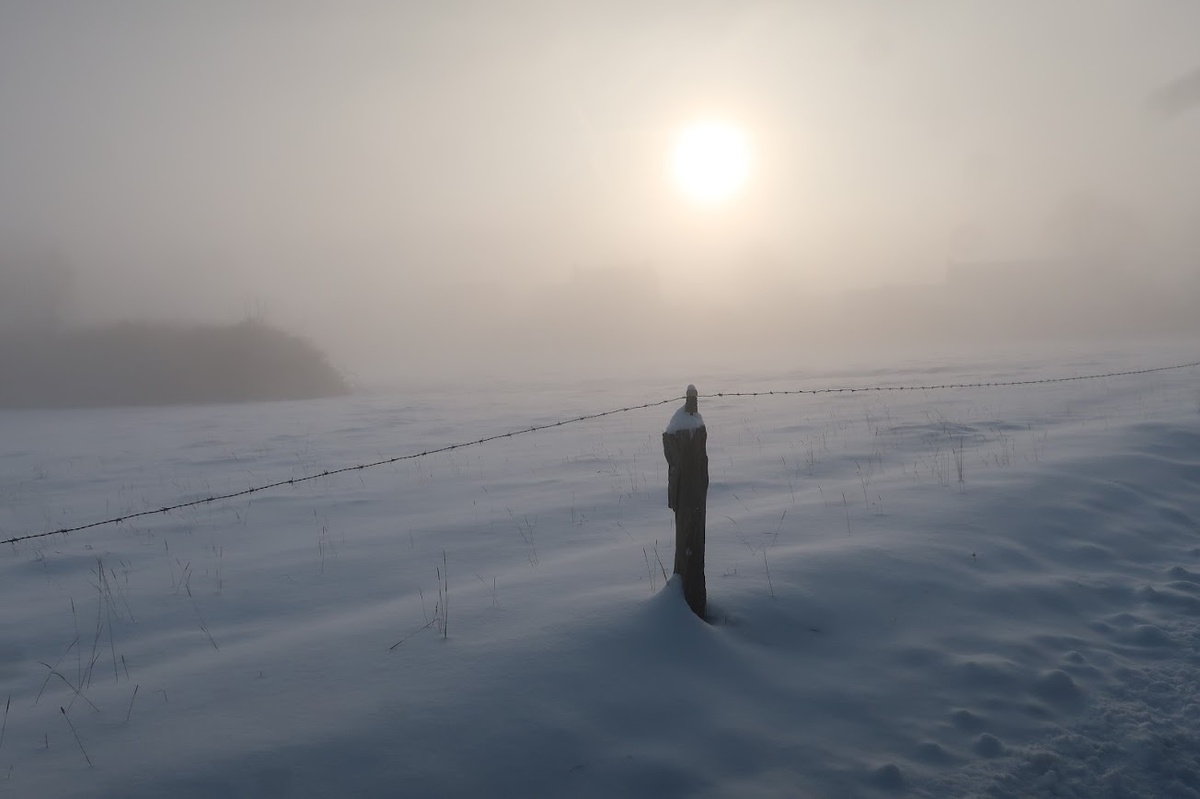 Neige dans la campagne