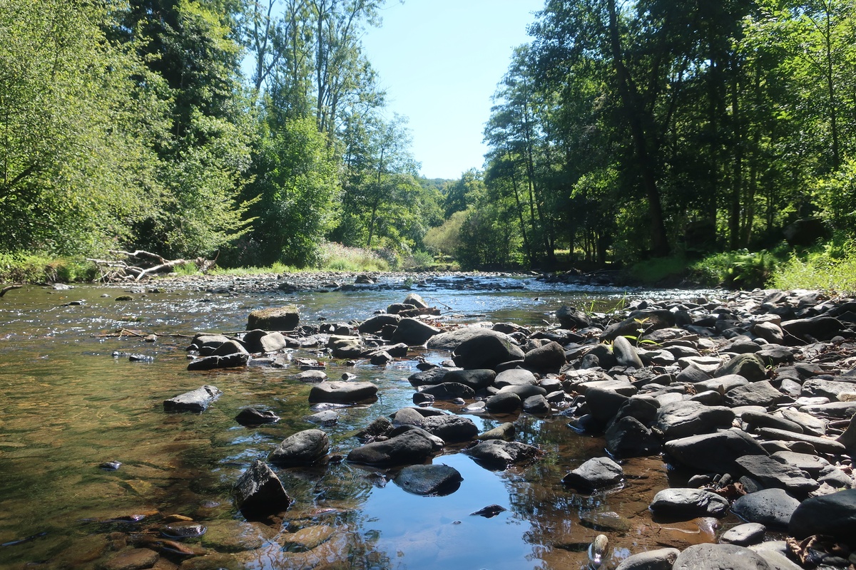 Dry river bed