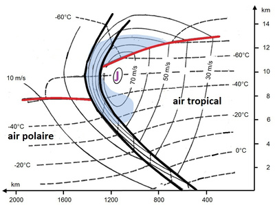 Figure 3. Sur cette figure, le pôle Nord se situe à gauche et l’équateur à droite. Les lignes