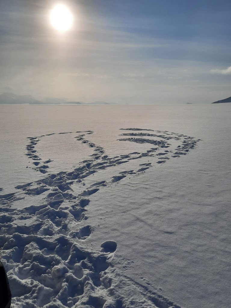 Snow sampling at Teltet